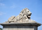 Lion on Chain Bridge