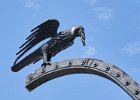 Raven on gate