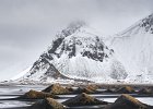 DSC03293 1600