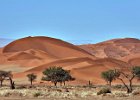 Sossusvlei