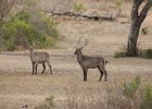 Southern Africa 2008