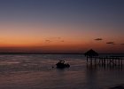IMG 5324