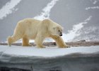 Striding out