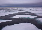 Sea ice