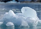 Ice Floe