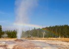 Pink Cone Geyser