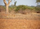 Can you see me?